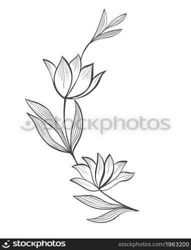 Abstract flowers on a branch with leaves handmade sketch. Engraved bloom, botanical element, vector illustration. Decoration for invitation, greeting card or template.. Abstract flowers on a branch with leaves handmade sketch.