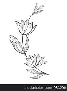 Abstract flowers on a branch with leaves handmade sketch. Engraved bloom, botanical element, vector illustration. Decoration for invitation, greeting card or template.. Abstract flowers on a branch with leaves handmade sketch.
