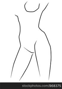 Abstract graceful and sensual body of woman, isolated on the white background, hand drawing outline