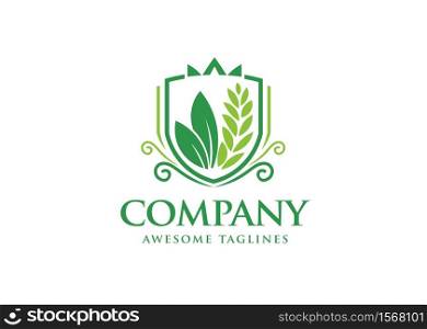 abstract Green Shield with leaf icon isolated on white background. Eco-friendly security shield with leaf
