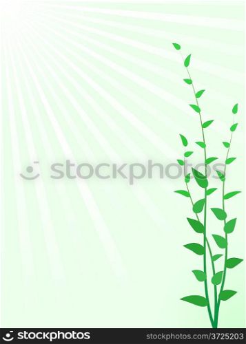Abstract green sprouts vector background with copy space