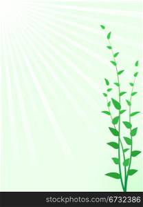 Abstract green sprouts vector background with copy space