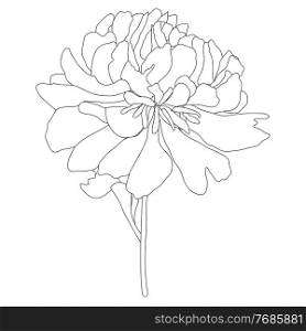 Abstract Hand Drawn contour silhouette flower. Vector Illustration. Abstract Hand Drawn contour silhouette flower. Vector Illustration EPS10