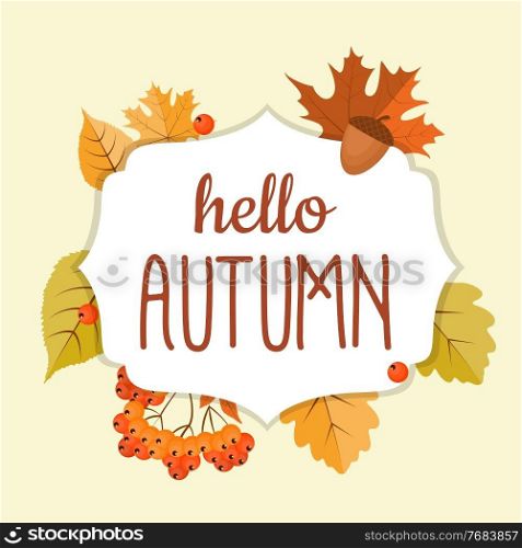 Abstract Hello Autumn Background with Falling Leaves, Rowan and Acorn. Vector Illustration EPS10. Abstract Hello Autumn Background with Falling Leaves, Rowan and Acorn. Vector Illustration