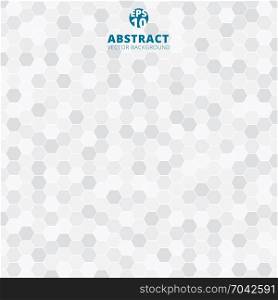 Abstract hexagon pattern white and gray color background. Vector illustration