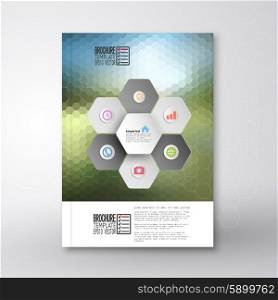 Abstract hexagonal infographic pattern. Brochure, flyer or report for business, template vector.