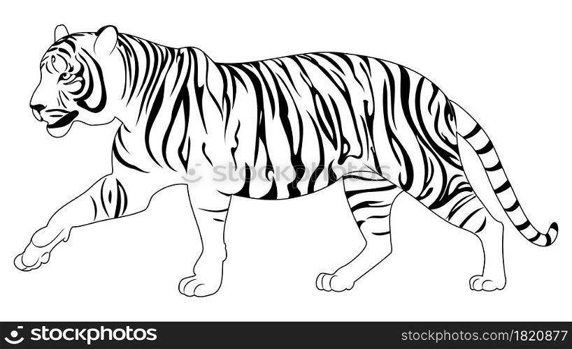 Abstract illustration with walking tiger in line art style.