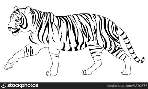 Abstract illustration with walking tiger in line art style.