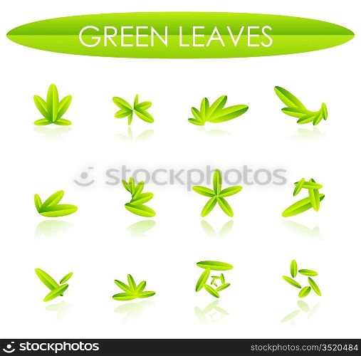 Abstract leaf compositions