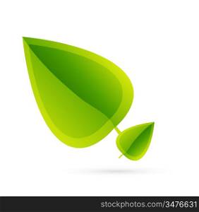 Abstract leaf concept