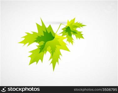 Abstract leaf concept