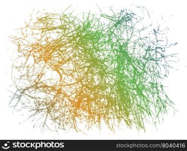 Abstract line and color from dry grass on white background