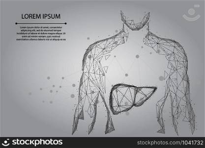 Abstract line and point human body with the liver. Healthcare, Science and Technology Vector Illustration