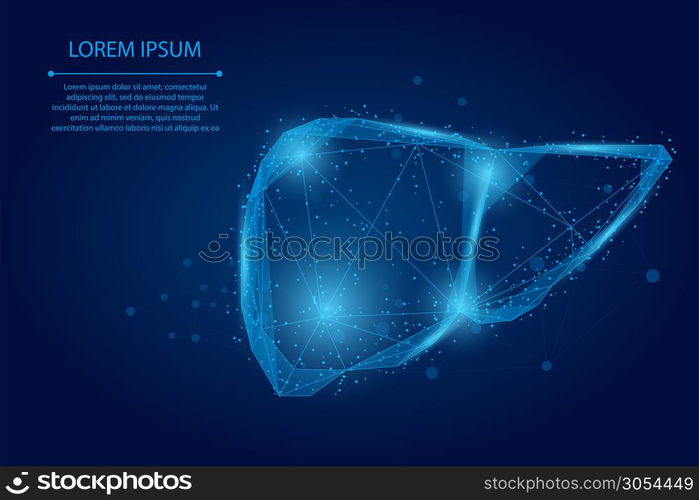 Abstract line and point human liver. Low poly Healthcare Vector Illustration