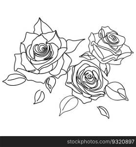 Abstract line art rose flowers with leaves minimalistic illustration.
