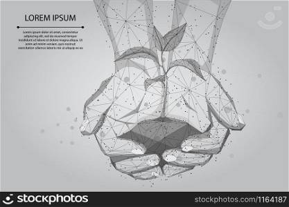 Abstract mash line and point hands holding plant sprout. Save planet nature environment grow life eco polygon triangles low poly vector illustration