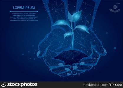 Abstract mash line and point hands holding plant sprout. Save planet nature environment grow life eco polygon triangles low poly vector illustration