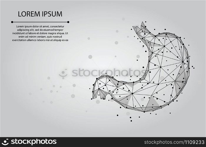 Abstract mash line and point human healthy stomach. Low poly health care vector illustration