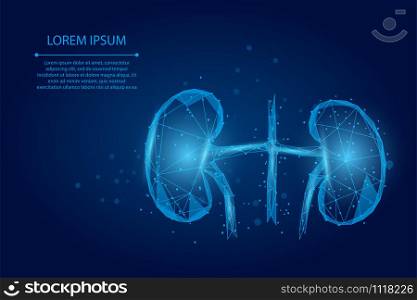 Abstract mash line and point human kidneys. Urology system medicine treatment low poly vector illustration
