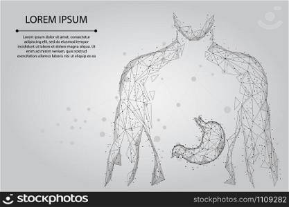 Abstract mash line and point man silhouette healthy stomach connected dots low poly wireframe. Low poly health care vector illustration