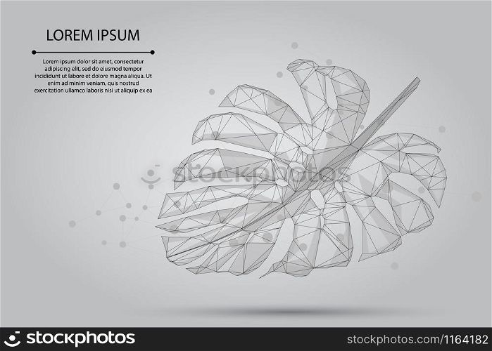 Abstract mash line and point Monstera leaf. Tropical palm leaves vector illustration