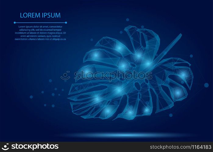 Abstract mash line and point Monstera leaf. Tropical palm leaves vector illustration