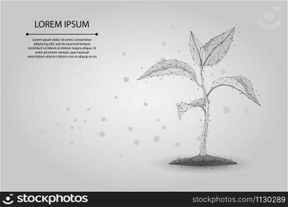 Abstract mash line and point plant sprout ecological abstract concept. Save planet nature environment grow life eco polygon triangles low poly vector illustration