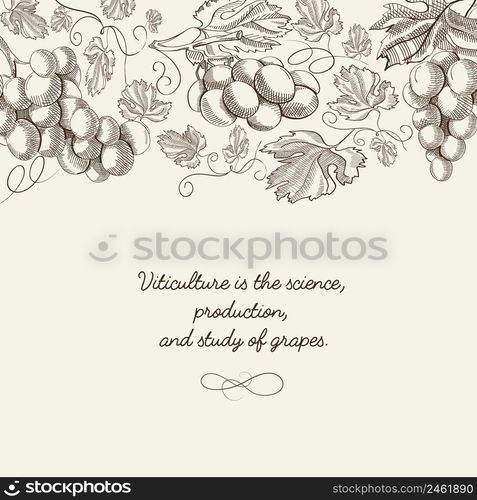 Abstract natural hand drawn template with bunches of grapes and inscription on light background vector illustration. Abstract Natural Hand Drawn Template