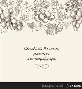 Abstract natural hand drawn template with bunches of grapes and inscription on light background vector illustration. Abstract Natural Hand Drawn Template