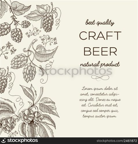 Abstract natural hand drawn template with text and beer herbal hop plants on light background vector illustration. Abstract Natural Hand Drawn Template