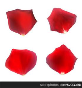 Abstract Natural Rose Petals on White Background Background Realistic Vector Illustration EPS10. Abstract Natural Rose Petals on White Background Background Real