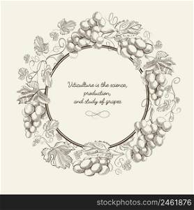 Abstract natural sketch template with text round frame and bunches of grapes on light background vector illustration. Abstract Natural Sketch Template