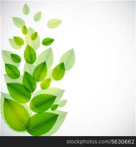 Abstract nature background with leaves. Vector iilustration