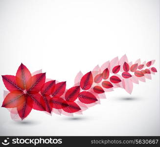 Abstract nature background with leaves. Vector iilustration