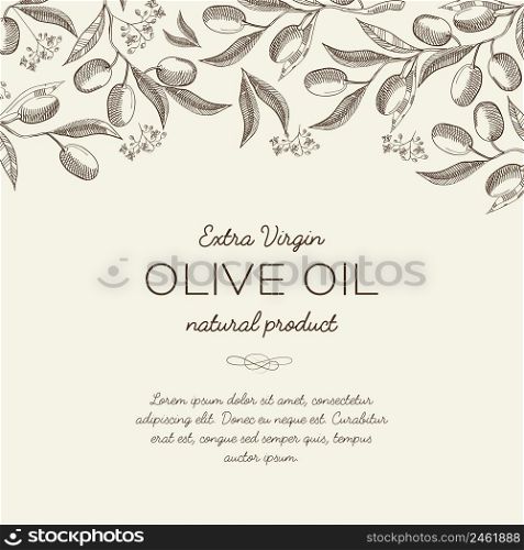 Abstract olive floral sketch template with text and tree branches on light background vector illustration. Abstract Olive Floral Sketch Template