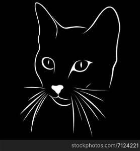 Abstract outline of young cat muzzles, black stencil on the white background, vector hand drawing