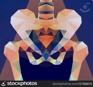 Abstract polygonal skeleton. Geometric pelvis. low poly illustration. Ladybird polygonal