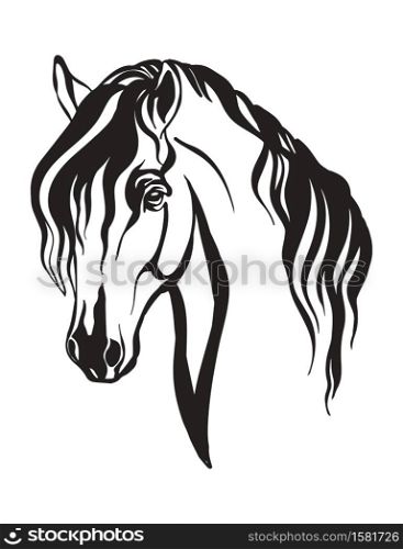 Abstract portrait of horse vector illustration in black color isolated on white background. Engraving template image for design, print and tattoo.. Abstract portrait of isolated black contour horse