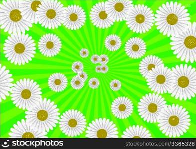 Abstract rays background. White - green palette. Vector illustration.