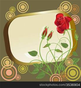 Abstract red roses with gold frame and circles