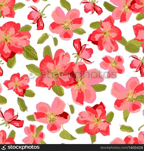 Abstract seamless pattern with isolated hand drawn flowers. Apple-tree flowers . Sakura flowers. Vector illustration.. Abstract seamless pattern with isolated hand drawn flowers. Appl