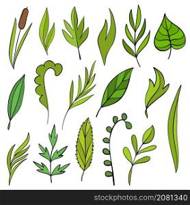 Abstract set of green leaves hand drawn for spring design