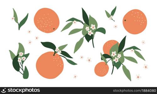 Abstract set of orange branches, leaves and color on an isolated white background. Nature background vector. Suitable for postcards, backgrounds, stickers. Abstract set of orange branches, leaves and color on an isolated white background. Nature background vector. Suitable for postcards, backgrounds, stickers.