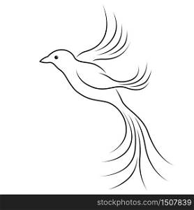 Abstract silhouette of beautiful flying bird, black outline isolated on the white background