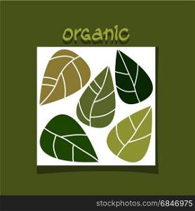 abstract simple design with green leaves. organic concept. vector