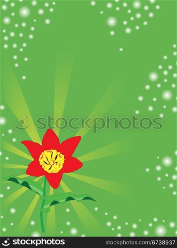 abstract spring floral background. Vector