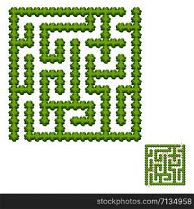 Abstract square labyrinth - green garden. Game for kids. Puzzle for children. One entrance, one exit. Labyrinth conundrum. Vector illustration. With answer.