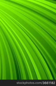 Abstract striped background in green color