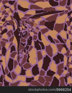 Abstract texture of giraffe head and skin