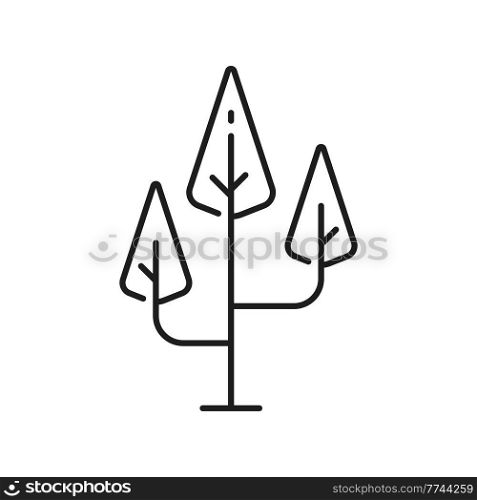 Abstract tree forest plant with triangle shape crown isolated thin line icon. Vector landscape and garden architecture element, ecology, save nature symbol. Botanical spring summer environment object. Tree forest garden plant with triangle shape crown